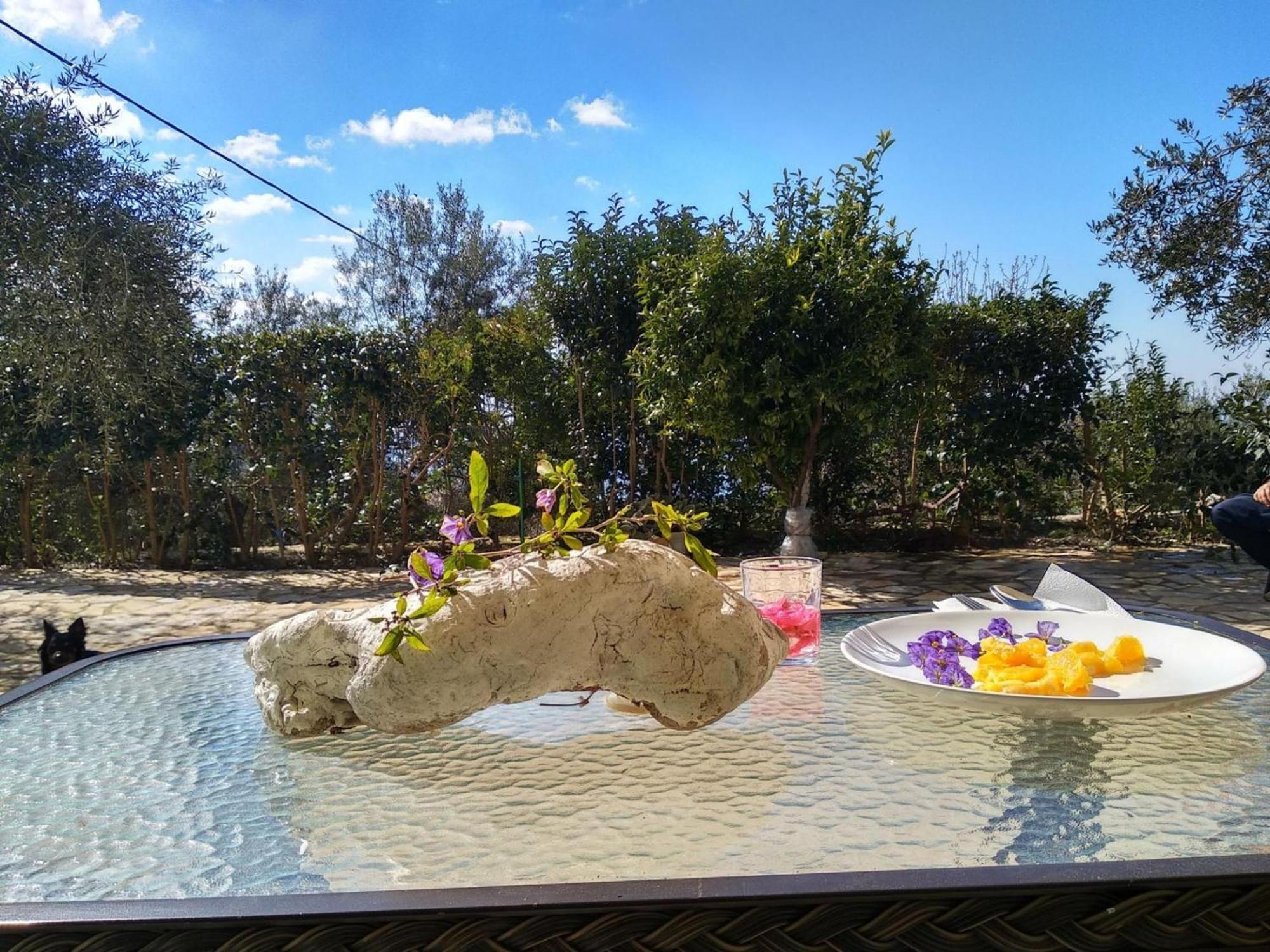 Apartment Caza Levantiera Lefkada Kalamitsi (Lefkada)